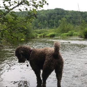 Meet your Posher, Lindsay